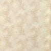 Kravet Fabric Gilded Dust Ivory