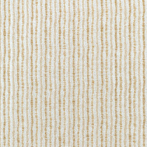 Kravet Fabric Verticalis Champagne