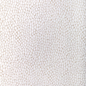 Kravet Fabric Starfall Ivory Silver