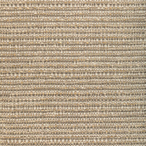 Kravet Fabric 36417-1611