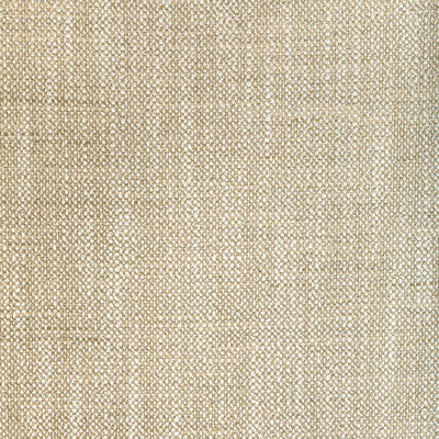 36537.1601.0 by Kravet Fabric Kravet Fabric 36537.1601.0Fabric POLYESTER - 100% India </p><p>Repeat: H: 0, V: 0 54 - Fabric Carolina -