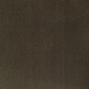 Kravet Fabric Fomo Etruscan