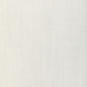 Kravet Fabric Basics 36572-1