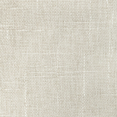 36579.1001.0 by Kravet Fabric Kravet Fabric 36579.1001.0Fabric PERFORMANCE KRAVETARMOR POLYESTER - 80%;VISCOSE - 20% China </p><p>Repeat: H: 0, V: 0 54 - Fabric Carolina -
