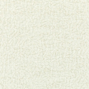 Kravet Fabric 36596-101