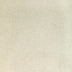 Kravet Fabric 36598-101
