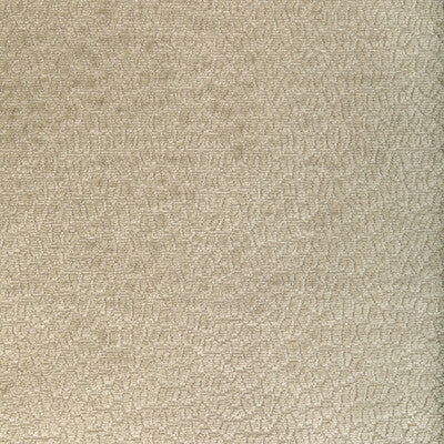 36606.1611.0 by Kravet Fabric Kravet Fabric 36606.1611.0Fabric PERFORMANCE KRAVETARMOR POLYESTER - 100% China </p><p>Repeat: H: 0, V: 0 55 - Fabric Carolina -