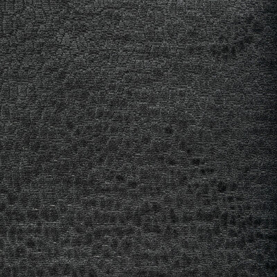 36606.2121.0 by Kravet Fabric Kravet Fabric 36606.2121.0Fabric PERFORMANCE KRAVETARMOR POLYESTER - 100% China </p><p>Repeat: H: 0, V: 0 55 - Fabric Carolina -