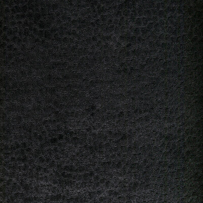 36606.8.0 by Kravet Fabric Kravet Fabric 36606.8.0Fabric PERFORMANCE KRAVETARMOR POLYESTER - 100% China </p><p>Repeat: H: 0, V: 0 55 - Fabric Carolina -