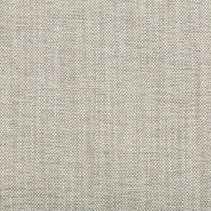 Kravet Fabric 36635-11