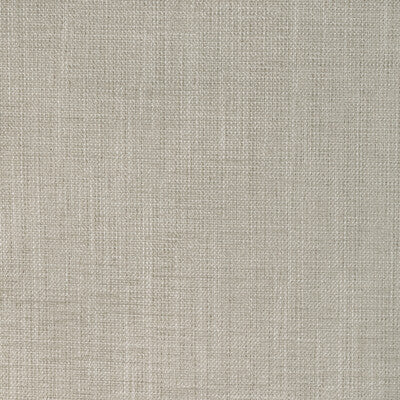 36649.1116.0 by Kravet Fabric Kravet Fabric 36649.1116.0Fabric POLYESTER - 86%;COTTON - 14% India </p><p>Repeat: H: 0, V: 0 54 - Fabric Carolina -