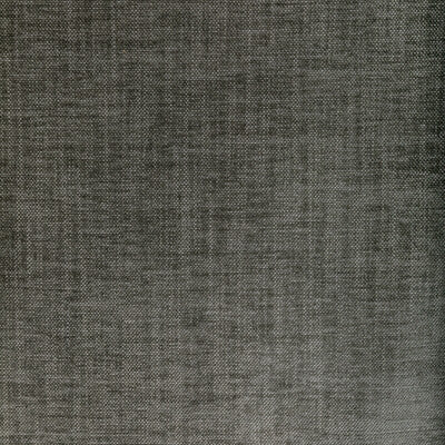 36650.21.0 by Kravet Fabric Kravet Fabric 36650.21.0Fabric PERFORMANCE KRAVETARMOR SPUN POLYESTER - 61%;POLYFIL - 39% India </p><p>Repeat: H: 0, V: 0 54 - Fabric Carolina -