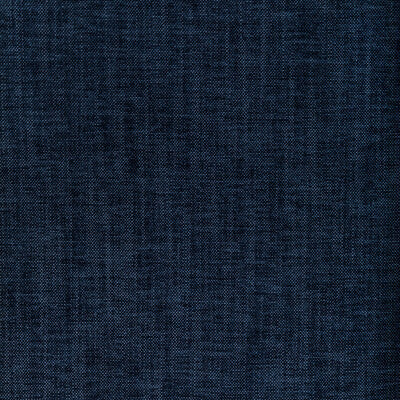 36650.50.0 by Kravet Fabric Kravet Fabric 36650.50.0Fabric PERFORMANCE KRAVETARMOR SPUN POLYESTER - 61%;POLYFIL - 39% India </p><p>Repeat: H: 0, V: 0 54 - Fabric Carolina -