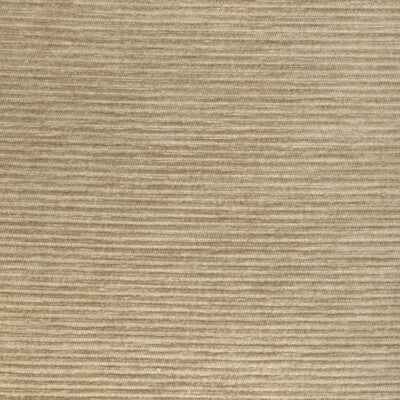 36651.1116.0 by Kravet Fabric Kravet Fabric 36651.1116.0Fabric PERFORMANCE KRAVETARMOR POLYFIL - 81%;SPUN POLYESTER - 19% India </p><p>Repeat: H: 0, V: 0 54 - Fabric Carolina -