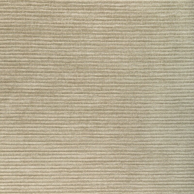 36651.11.0 by Kravet Fabric Kravet Fabric 36651.11.0Fabric PERFORMANCE KRAVETARMOR POLYFIL - 81%;SPUN POLYESTER - 19% India </p><p>Repeat: H: 0, V: 0 54 - Fabric Carolina -