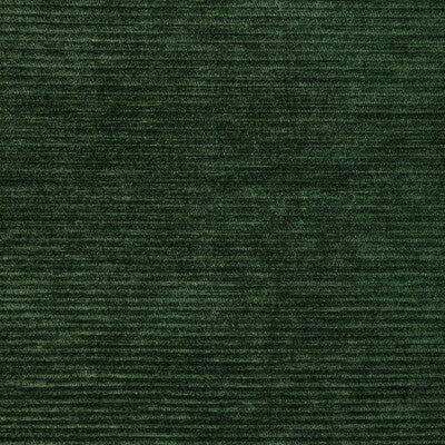 36651.3.0 by Kravet Fabric Kravet Fabric 36651.3.0Fabric PERFORMANCE KRAVETARMOR POLYFIL - 81%;SPUN POLYESTER - 19% India </p><p>Repeat: H: 0, V: 0 54 - Fabric Carolina -