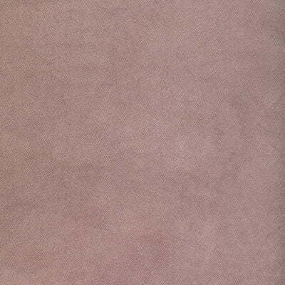 36652.110.0 by Kravet Fabric Kravet Fabric 36652.110.0Fabric POLYESTER - 100% Taiwan </p><p>Repeat: H: , V: 57 - Fabric Carolina -