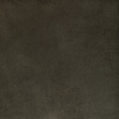 36652.2111.0 by Kravet Fabric Kravet Fabric 36652.2111.0Fabric POLYESTER - 100% Taiwan </p><p>Repeat: H: , V: 57 - Fabric Carolina -