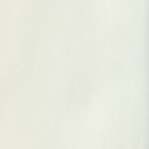 Kravet Fabric Basics 36653-1