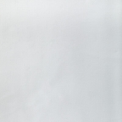 36656.101.0 by Kravet Fabric Kravet Fabric 36656.101.0Fabric COTTON - 100% India </p><p>Repeat: H: 0, V: 0 55 - Fabric Carolina -