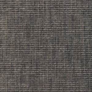Kravet Fabric 36669-1121 36669.1121.0