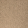 Kravet Fabric Marino Toast