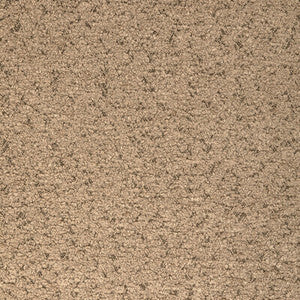 Kravet Fabric Marino Toast
