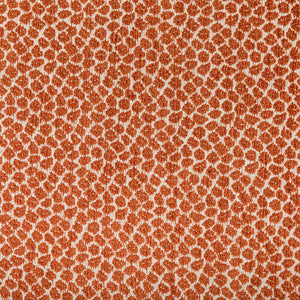 Kravet Fabric 36753-12