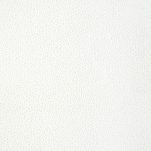 Kravet Fabric Tip The Scale Snow 36783.1.0