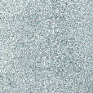Kravet Fabric Pick Up Sticks Spa 36813.13.0