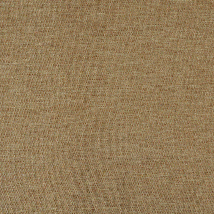 3681 Spring by Charlotte Designer Fabric Ring Book Page #1 100% Woven Polyester Asia Exceeds 100,000 Wyzenbeek Rubs (Heavy Duty) No Repeat 54 Inches - Swanky Fabrics -