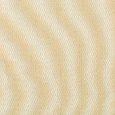 36820.16.0 by Kravet Fabric Kravet Fabric 36820.16.0Fabric INDOOR / OUTDOOR SOLUTION DYED ACRYLIC - 100% China </p><p>Repeat: H: 0, V: 0 53.93 - Fabric Carolina -