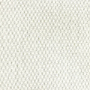 Kravet Fabric 36826-111