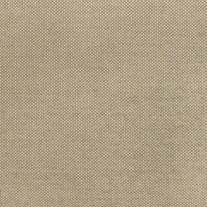 Kravet Fabric 36826-116