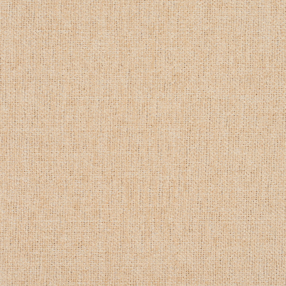 3683 Cream by Charlotte Designer Fabric Ring Book Page #1 100% Woven Polyester Asia Exceeds 100,000 Wyzenbeek Rubs (Heavy Duty) No Repeat 54 Inches - Swanky Fabrics -