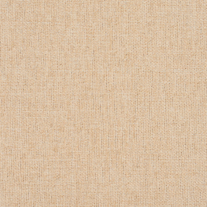 3683 Cream by Charlotte Designer Fabric Ring Book Page #1 100% Woven Polyester Asia Exceeds 120,000 Wyzenbeek Rubs (Heavy Duty) </p><p>Repeat: 54 Inches - Swanky Fabrics -