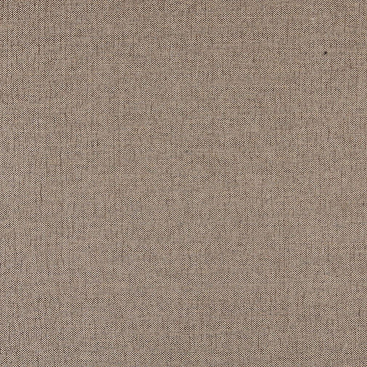 3684 Dune by Charlotte Designer Fabric Ring Book Page #1 100% Woven Polyester Asia Exceeds 100,000 Wyzenbeek Rubs (Heavy Duty) No Repeat 54 Inches - Swanky Fabrics -