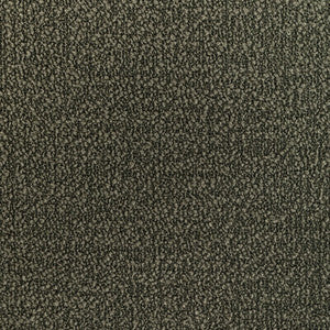 Kravet Fabric 36857-323