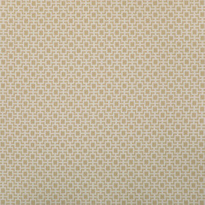Kravet Fabric 36875-116 36875.116.0
