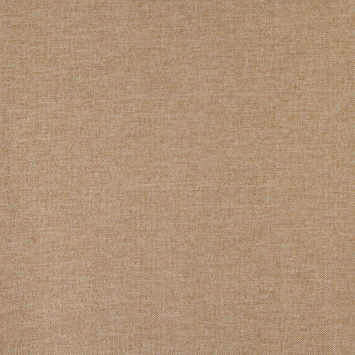 3688 Wheat by Charlotte Designer Fabric Ring Book Page #1 100% Woven Polyester Asia Exceeds 100,000 Wyzenbeek Rubs (Heavy Duty) No Repeat 54 Inches - Swanky Fabrics -