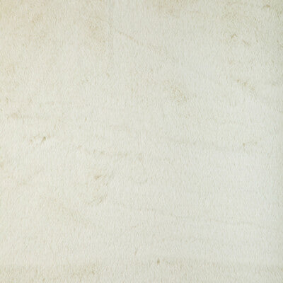 Kravet Basics - Multipurpose - 36896.1.0 - Multipurpose - POLYESTER - 100% - China </p><p>Repeat: H: , V: 27.5 21 - My Fabric Connection -