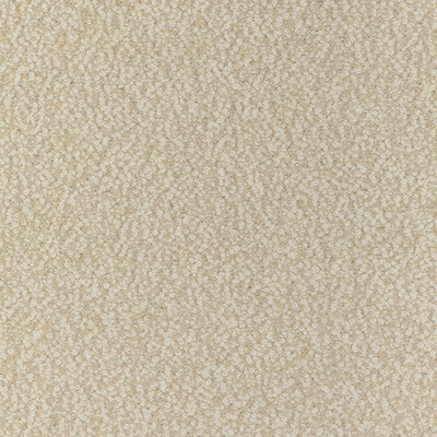 Kravet Couture - Upholstery - 36898.116.0 - Upholstery - ALPACA - 28%;COTTON - 24%;WOOL - 20%;POLYACRYLIC - 14%;WORSTED WOOL - 10%;POLYESTER - 4% - Belgium </p><p>Repeat: H: , V: 27.5 21 - My Fabric Connection -