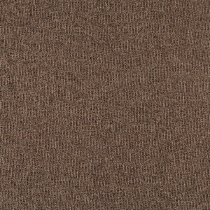 3691 Pecan by Charlotte Designer Fabric Ring Book Page #1 100% Woven Polyester Asia Exceeds 100,000 Wyzenbeek Rubs (Heavy Duty) No Repeat 54 Inches - Swanky Fabrics -