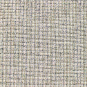 Kravet Fabric Aria Check Linen 36950.1611.0