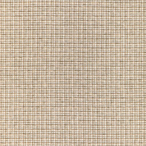 Kravet Fabric Aria Check Rattan 36950.16.0