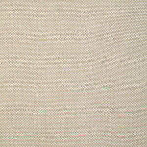 Kravet Fabric 36999-116 36999.116.0