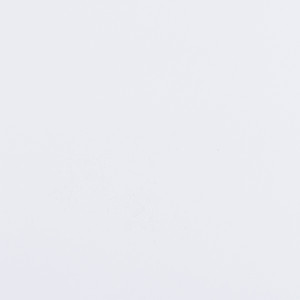 Sunbrella Fabric White