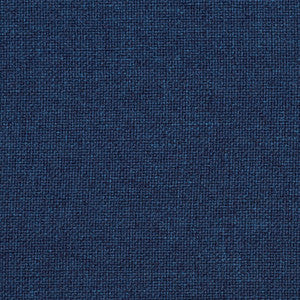 Charlotte Fabric 3704 Lapis