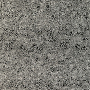 Kravet Fabric Watery Motion Pepper 37056.81.0