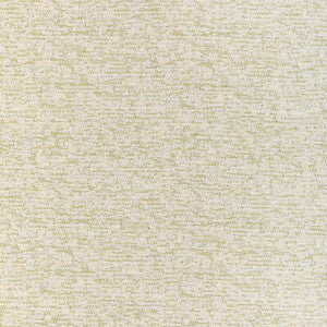 Kravet Fabric Softbed Cactus 37256.23.0